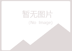 青岛崂山敷衍咨询有限公司